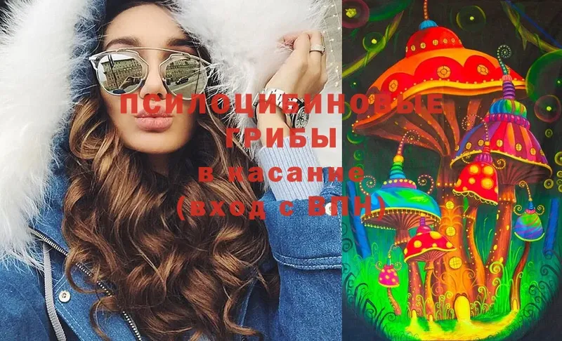 Галлюциногенные грибы MAGIC MUSHROOMS  Бакал 